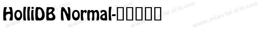 HolliDB Normal字体转换